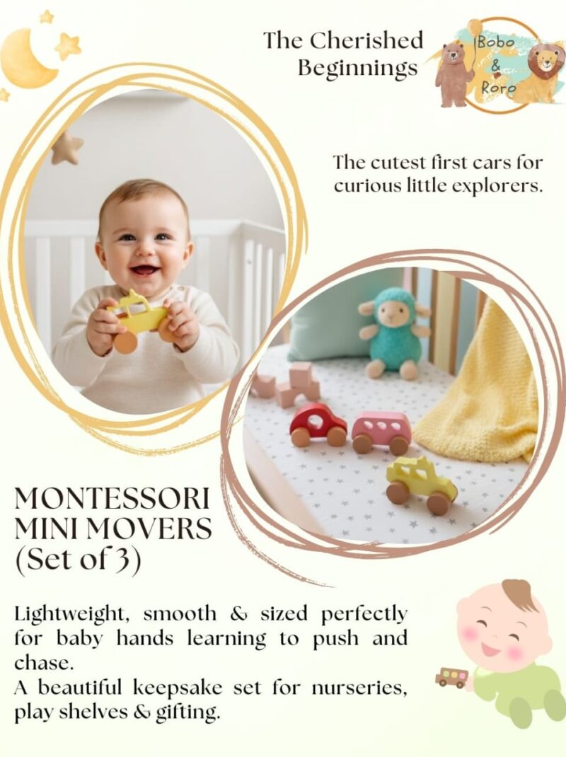 Montessori Mini Movers (Set of 3)